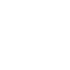 SG Police Force White New